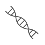  Un ADN partagé 