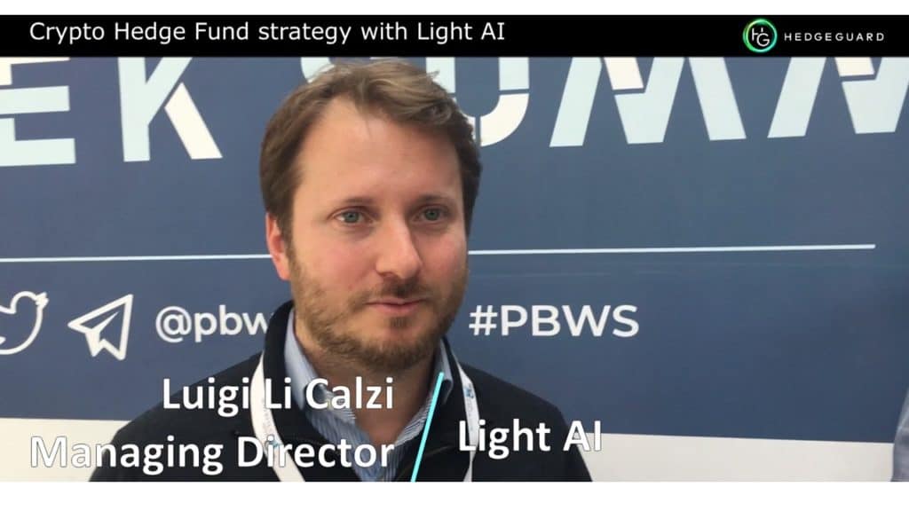 Insights about a Crypto Hedge Fund strategy with Light AI